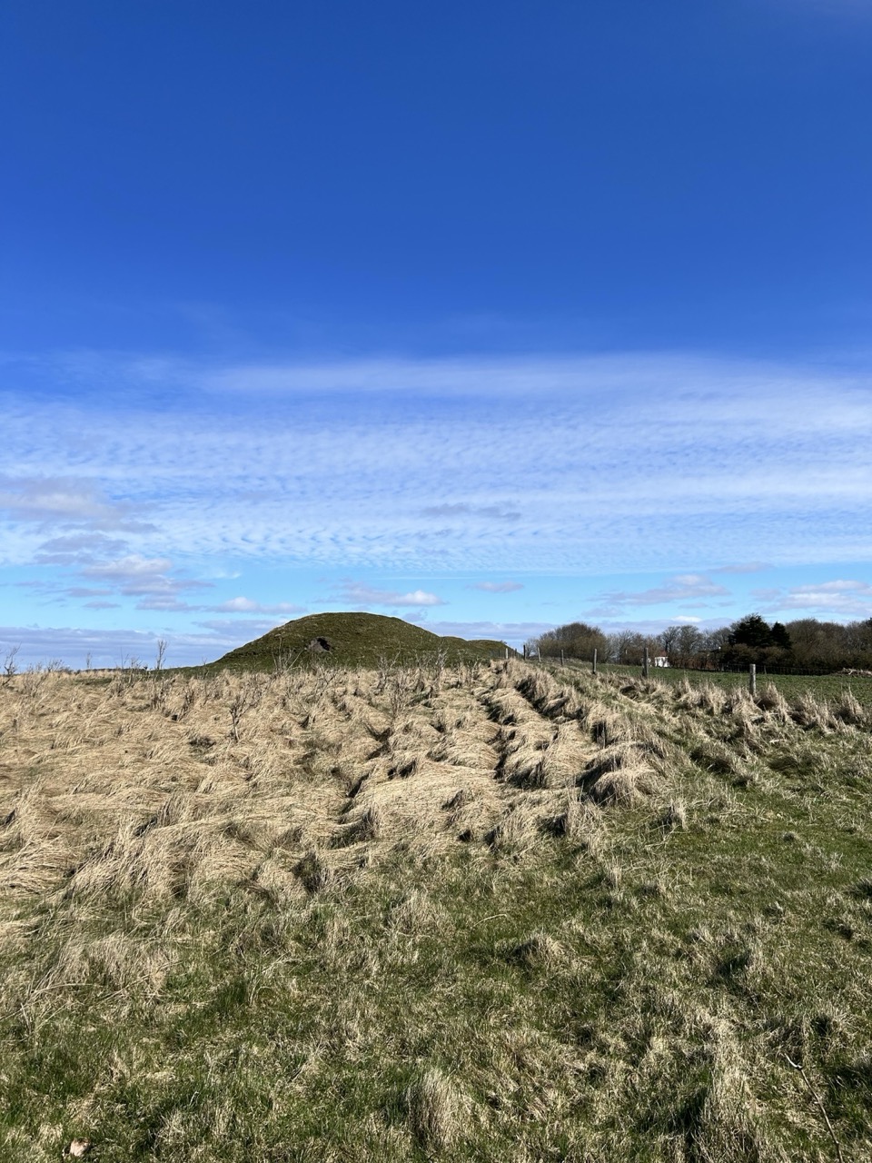 Gro%C3%9F%20%28Threema_2026-04-03_17-02-53%29